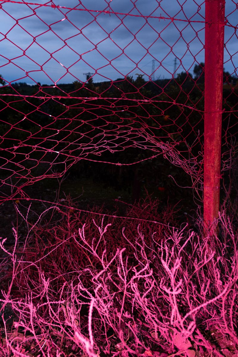 © William Joe Josephs Radford - Image from the Character Building (Part 3) photography project