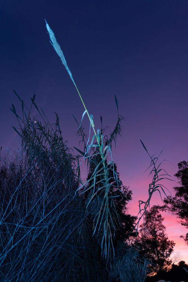 © William Joe Josephs Radford - Image from the Character Building (Part 3) photography project