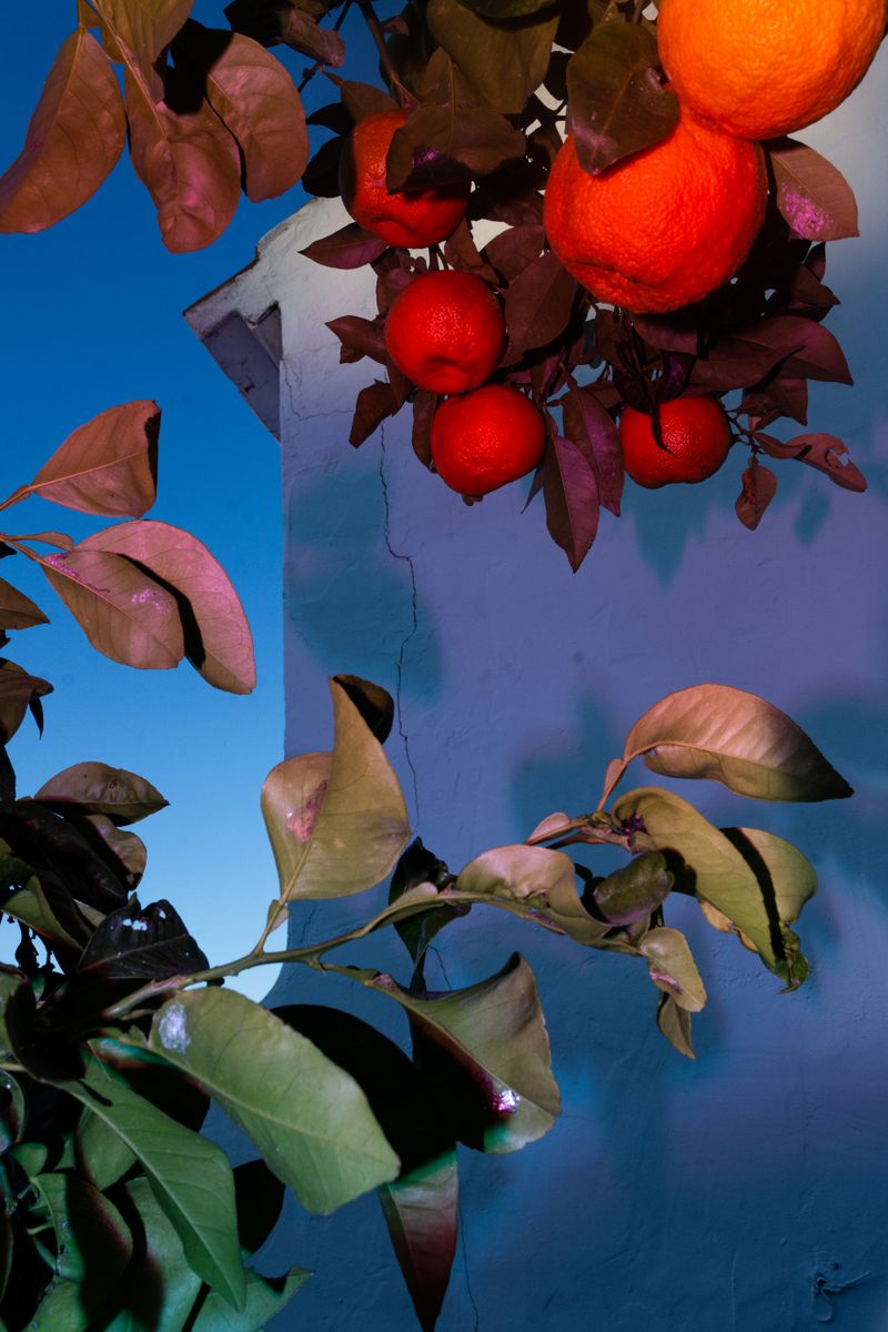 © William Joe Josephs Radford - Image from the Character Building (Part 3) photography project