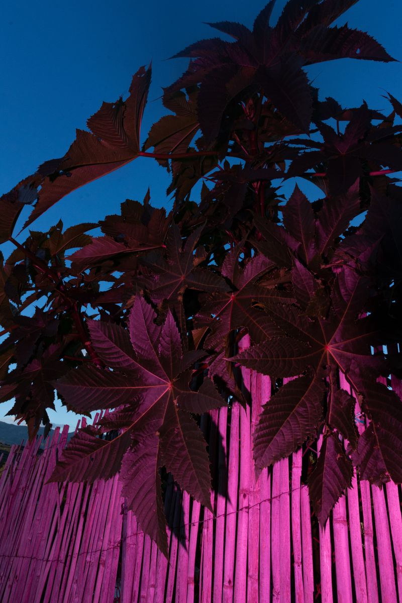 © William Joe Josephs Radford - Image from the Character Building (Part 3) photography project