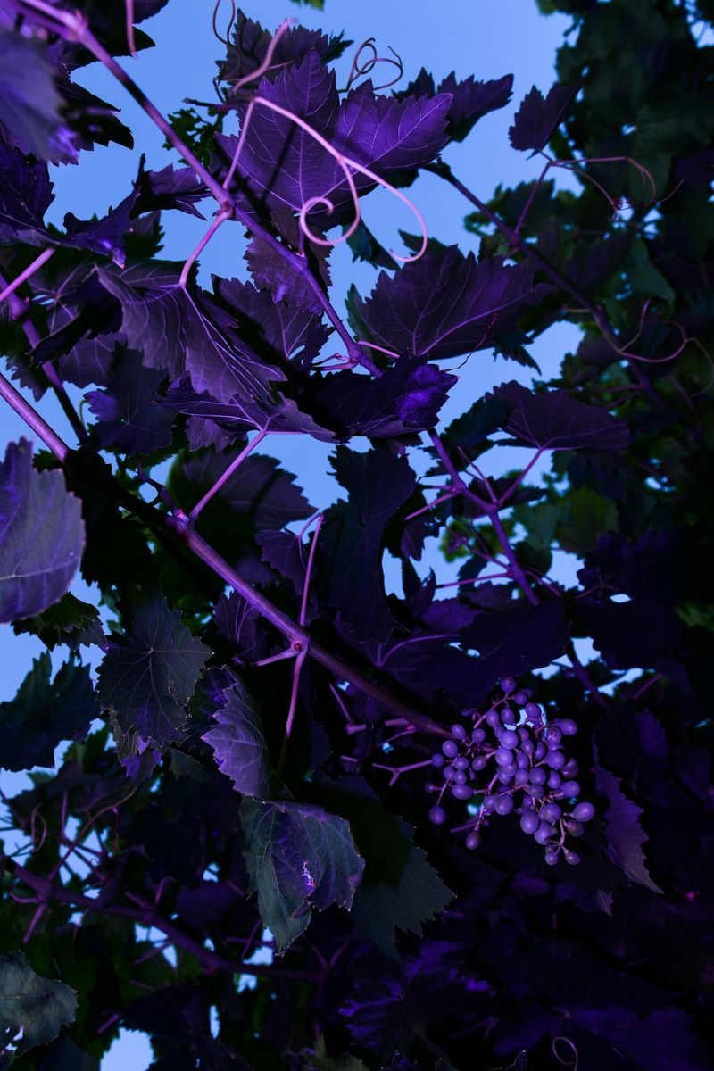 © William Joe Josephs Radford - Image from the Character Building (Part 3) photography project