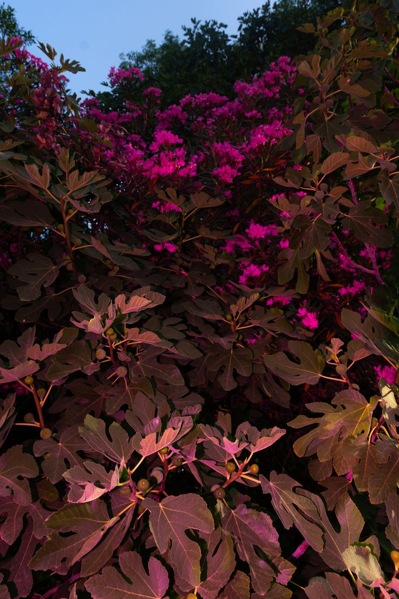 © William Joe Josephs Radford - Image from the Character Building (Part 3) photography project