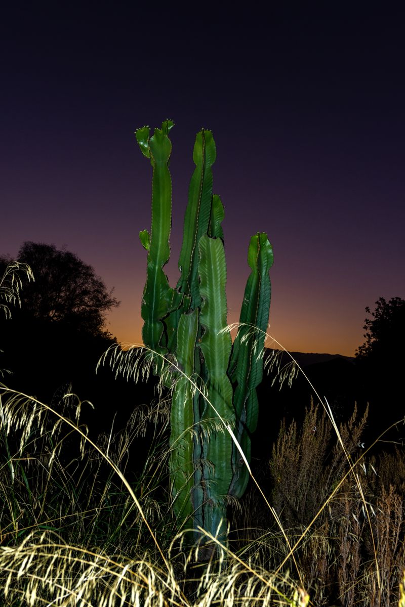 © William Joe Josephs Radford - Image from the Character Building (Part 3) photography project