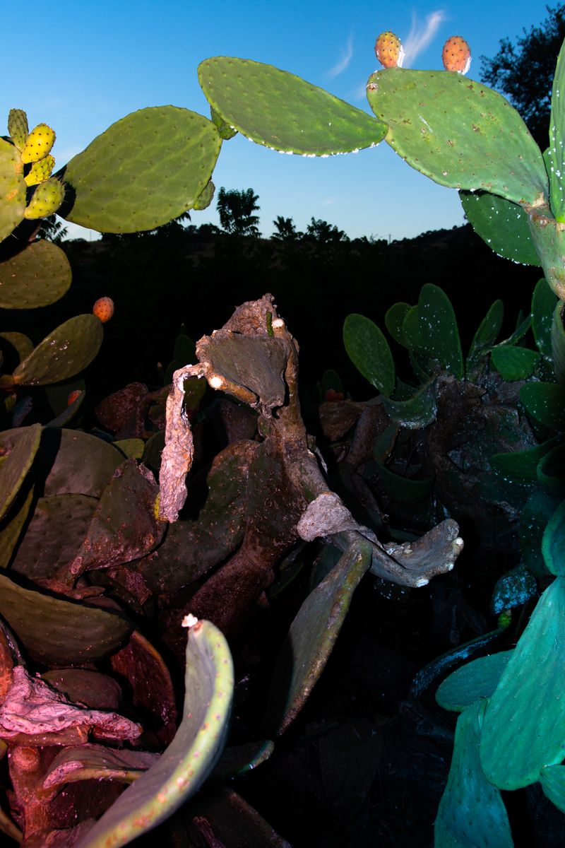 © William Joe Josephs Radford - Image from the Character Building (Part 3) photography project