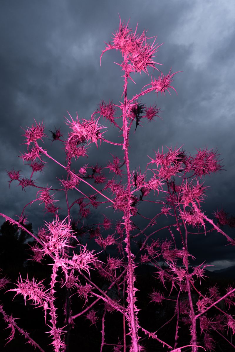 © William Joe Josephs Radford - Image from the Character Building (Part 3) photography project