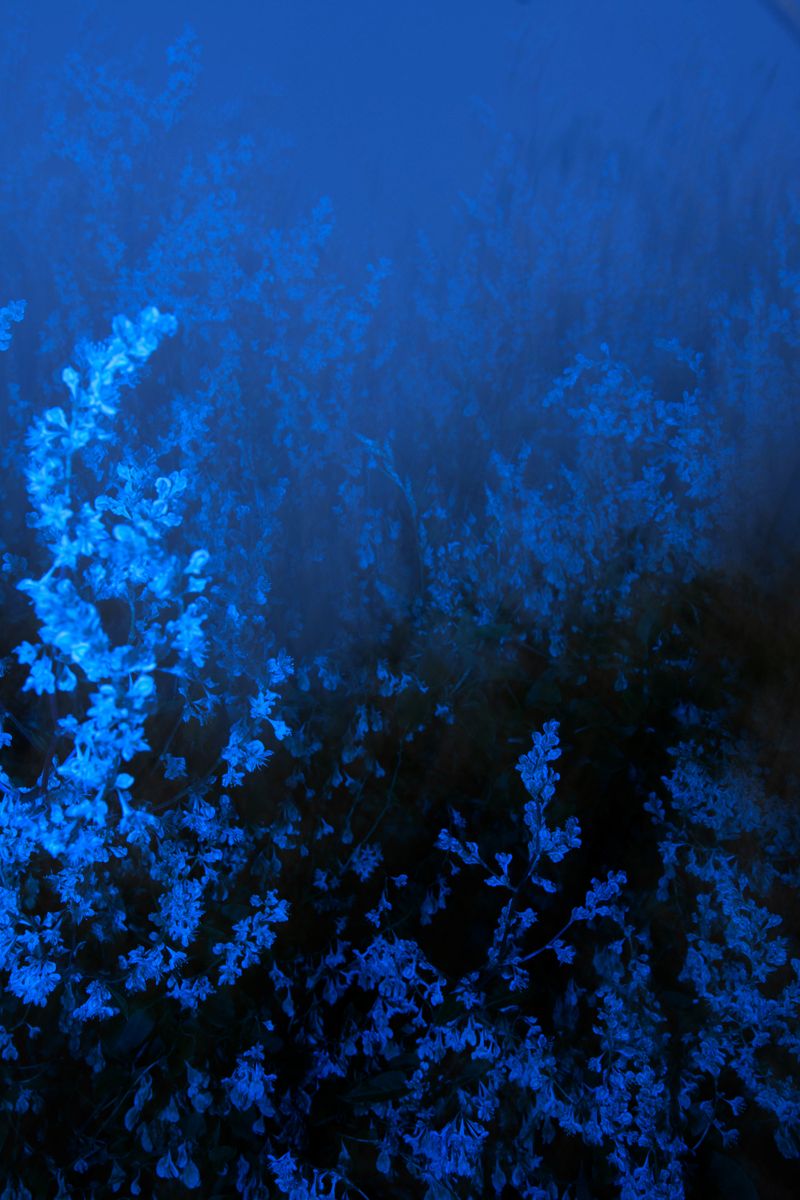 © William Joe Josephs Radford - Image from the Semi-Detached photography project