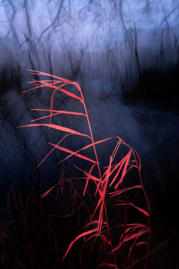 © William Joe Josephs Radford - Image from the Semi-Detached photography project