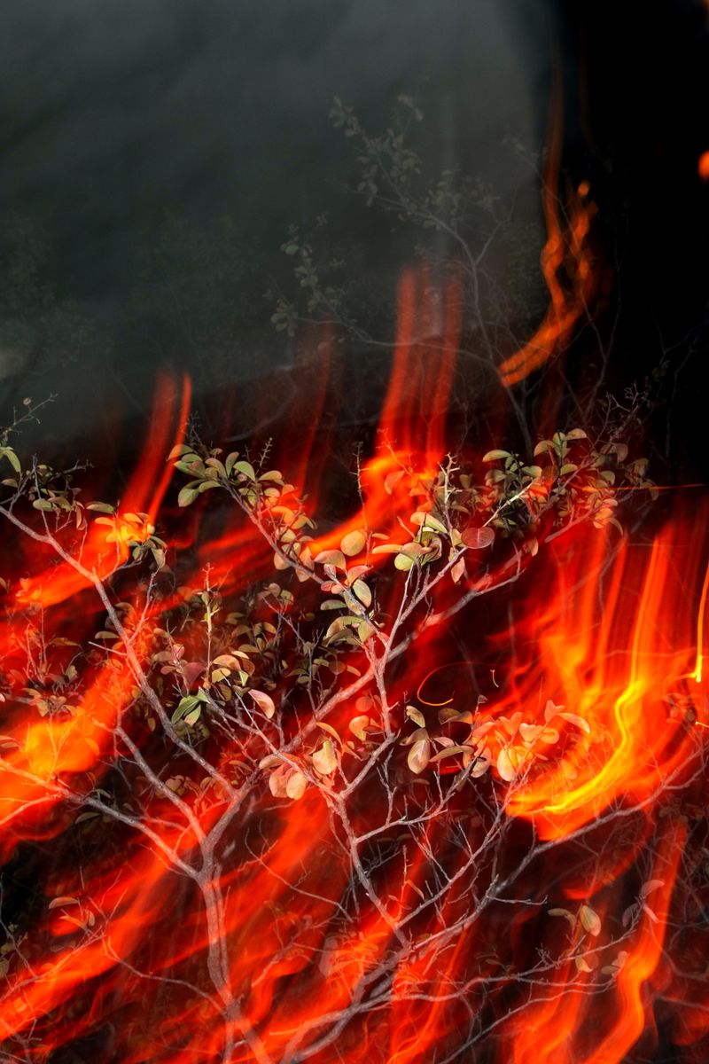 © William Joe Josephs Radford - Image from the Semi-Detached photography project