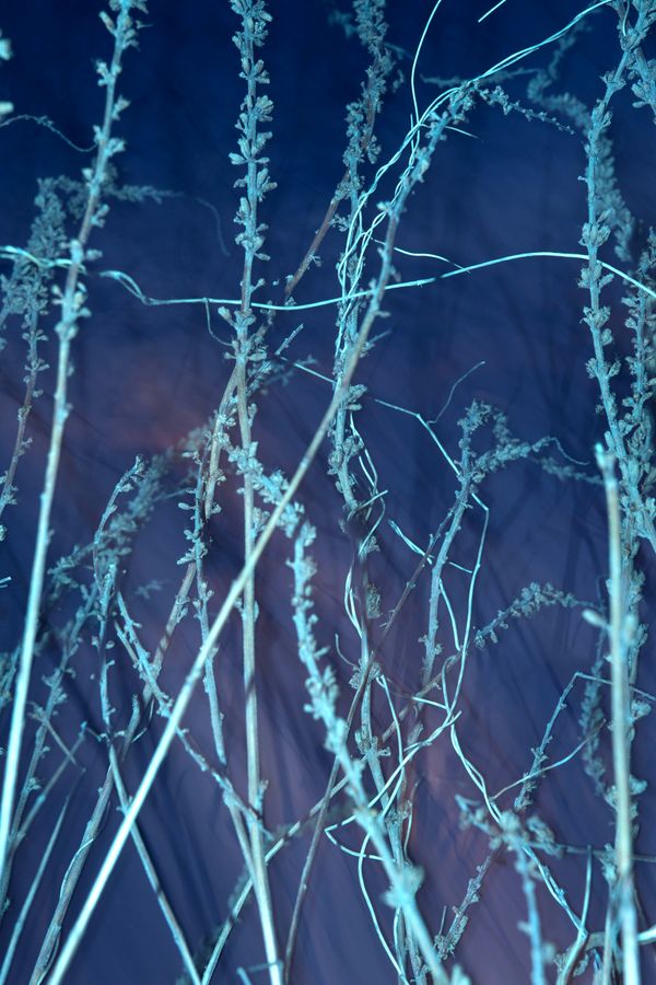 © William Joe Josephs Radford - Image from the Semi-Detached photography project