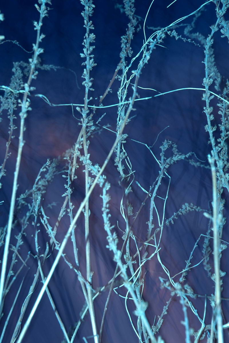 © William Joe Josephs Radford - Image from the Semi-Detached photography project