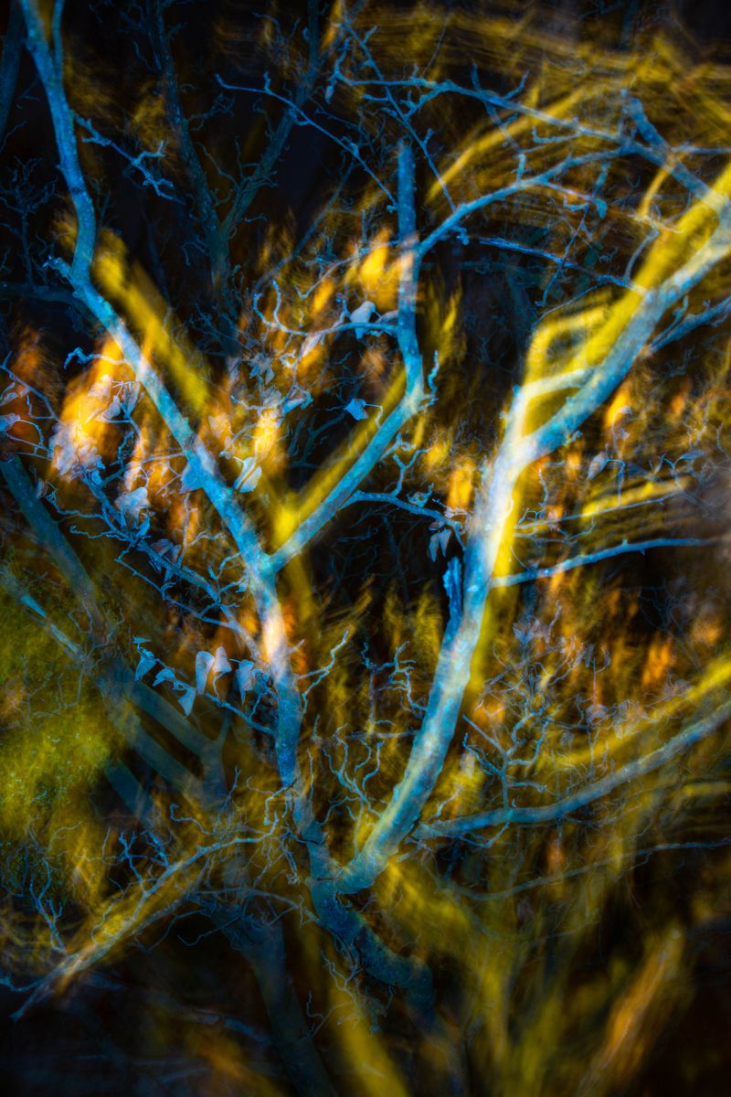 © William Joe Josephs Radford - Image from the Semi-Detached photography project