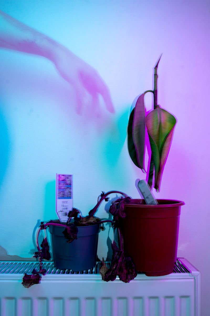 © William Joe Josephs Radford - Image from the Semi-Detached photography project