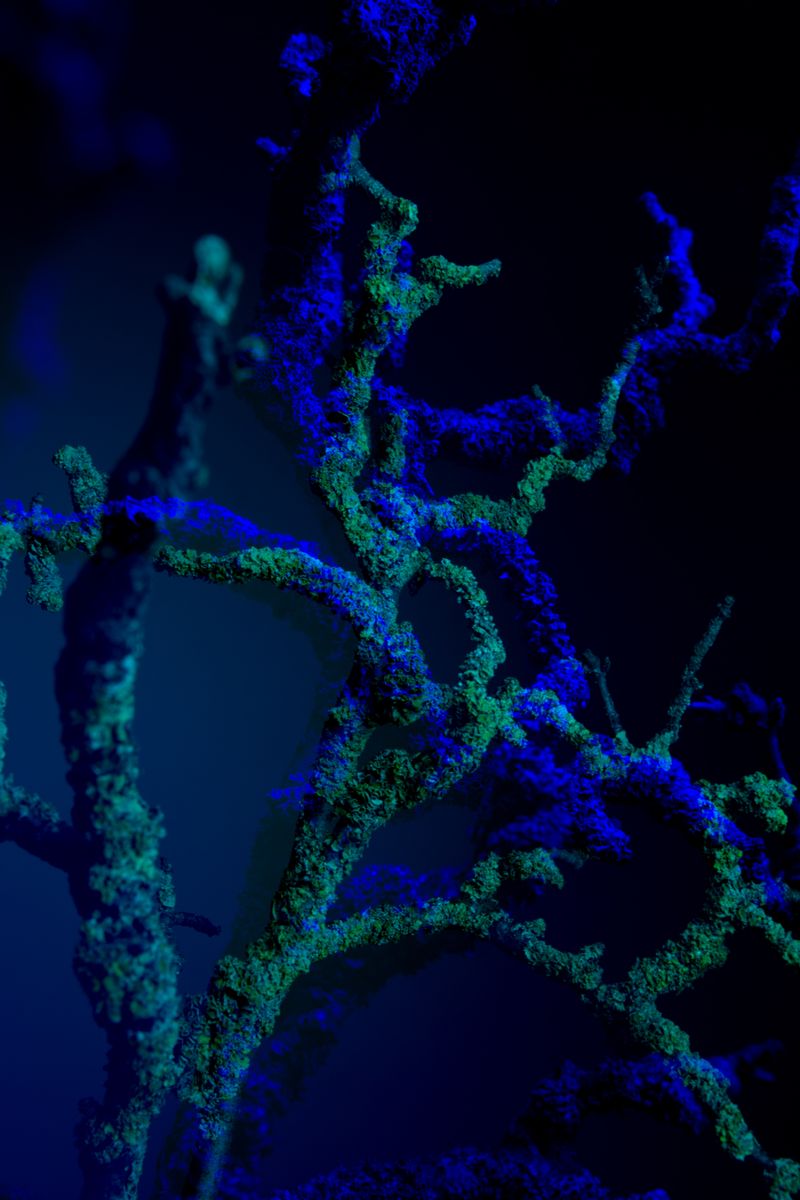 © William Joe Josephs Radford - Image from the Semi-Detached photography project