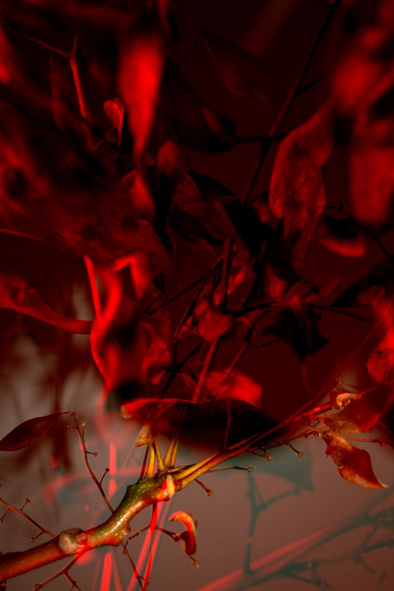 © William Joe Josephs Radford - Image from the Semi-Detached photography project