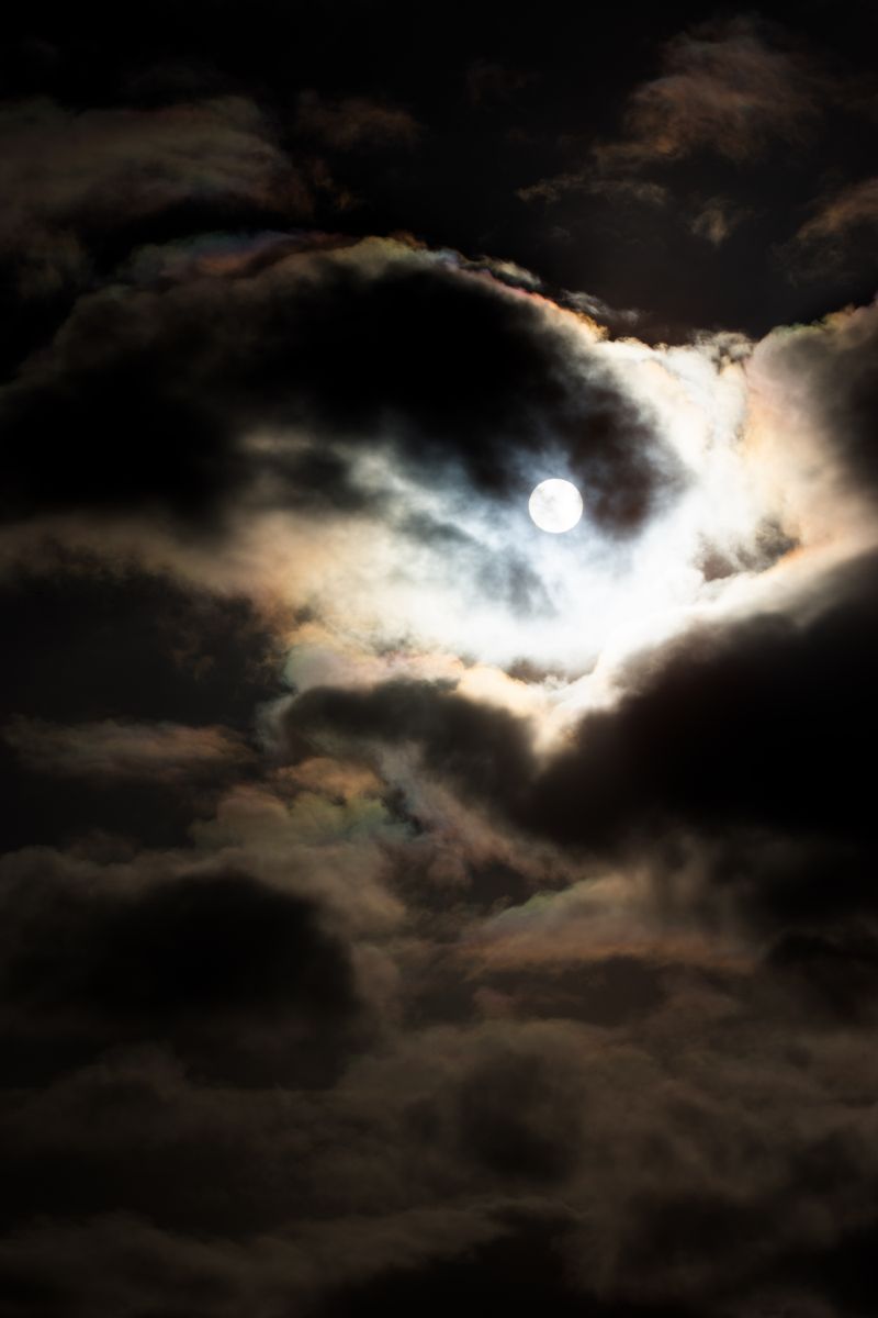 © William Joe Josephs Radford - Image from the Mourning Routine photography project