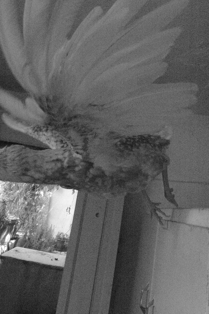 © William Joe Josephs Radford - Image from the Residual Noise photography project