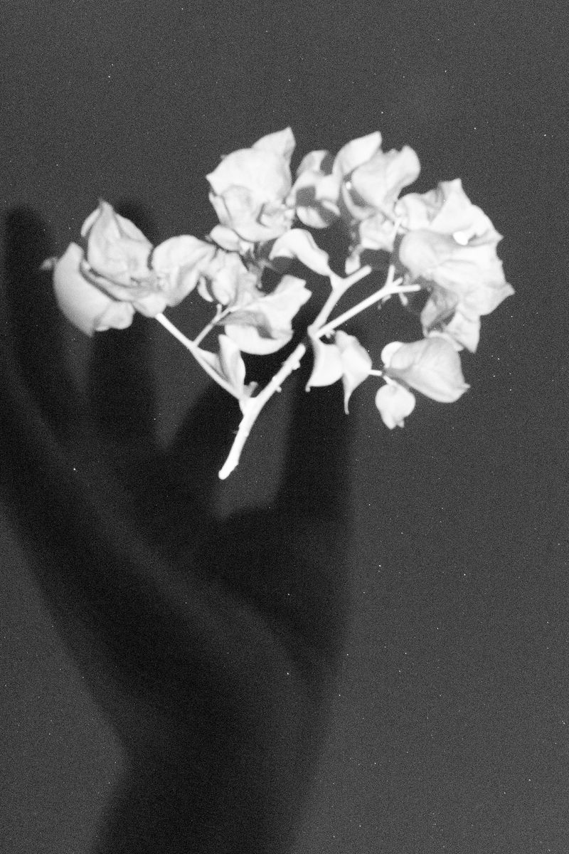 © William Joe Josephs Radford - Image from the Residual Noise photography project