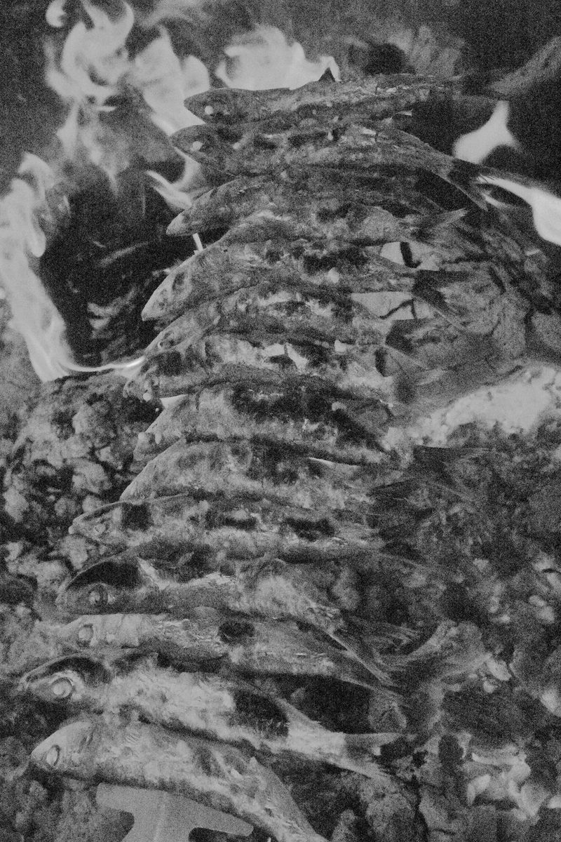 © William Joe Josephs Radford - Image from the Residual Noise photography project