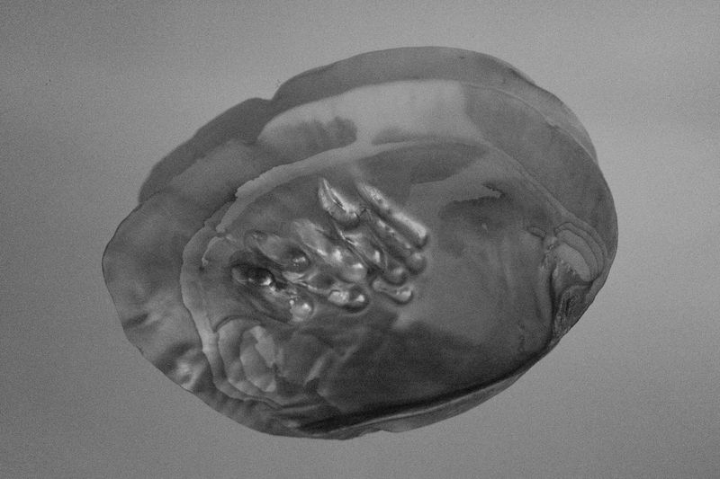 © William Joe Josephs Radford - Image from the Residual Noise photography project