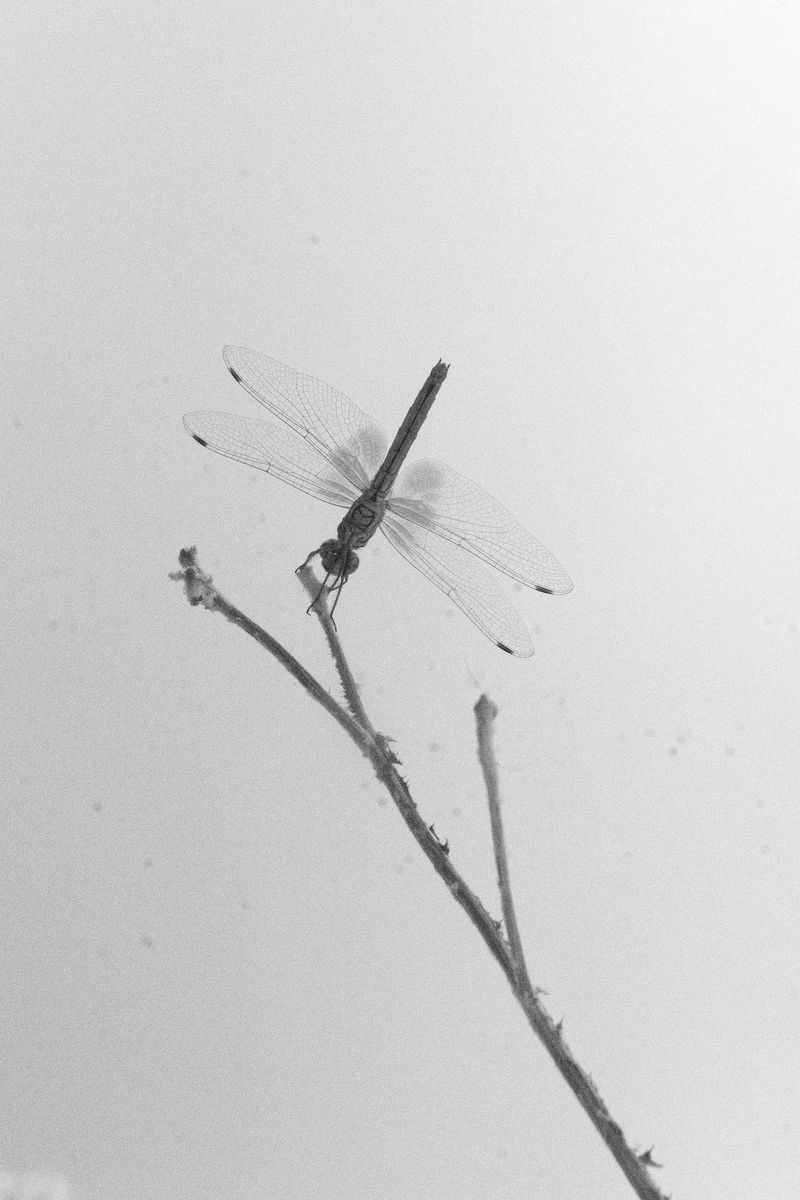 © William Joe Josephs Radford - Image from the Residual Noise photography project