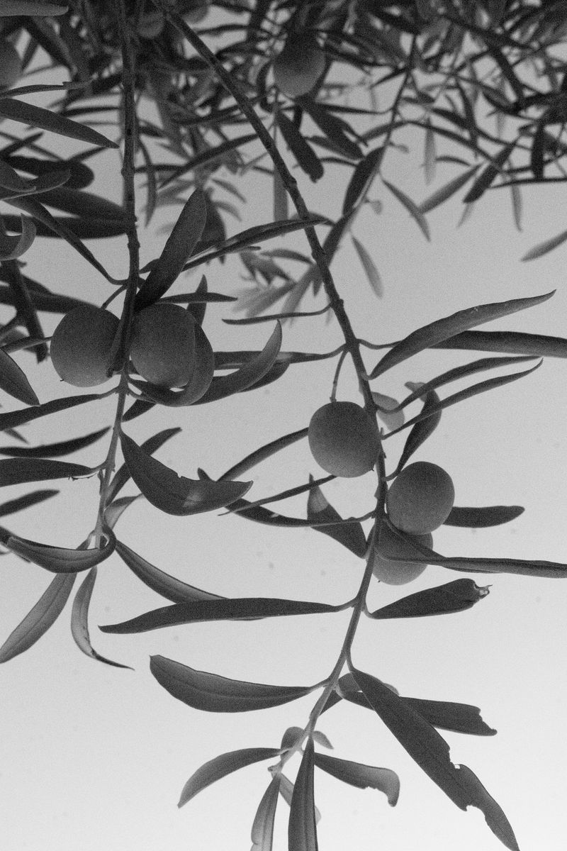 © William Joe Josephs Radford - Image from the Residual Noise photography project