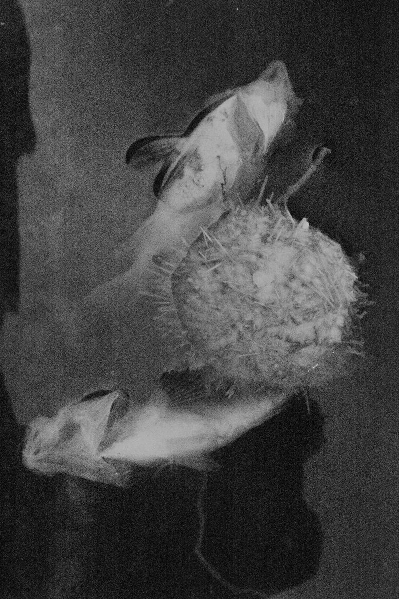 © William Joe Josephs Radford - Image from the Residual Noise photography project