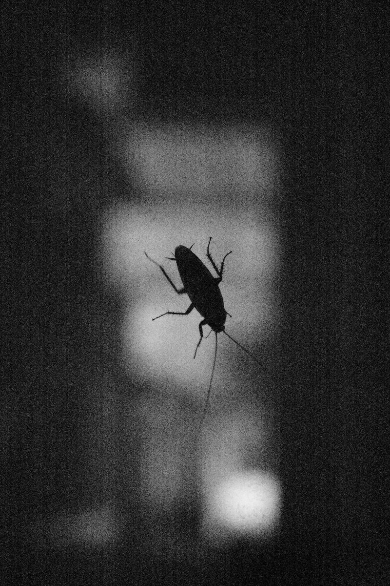 © William Joe Josephs Radford - Image from the Residual Noise photography project