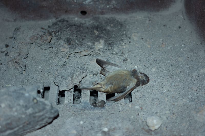 © William Joe Josephs Radford - Image from the Character Building (Part 1) photography project