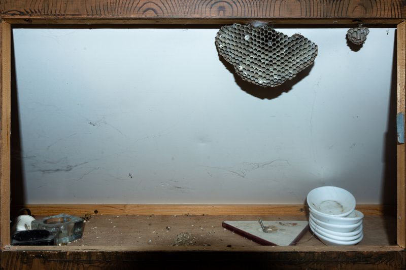© William Joe Josephs Radford - Image from the Character Building (Part 1) photography project