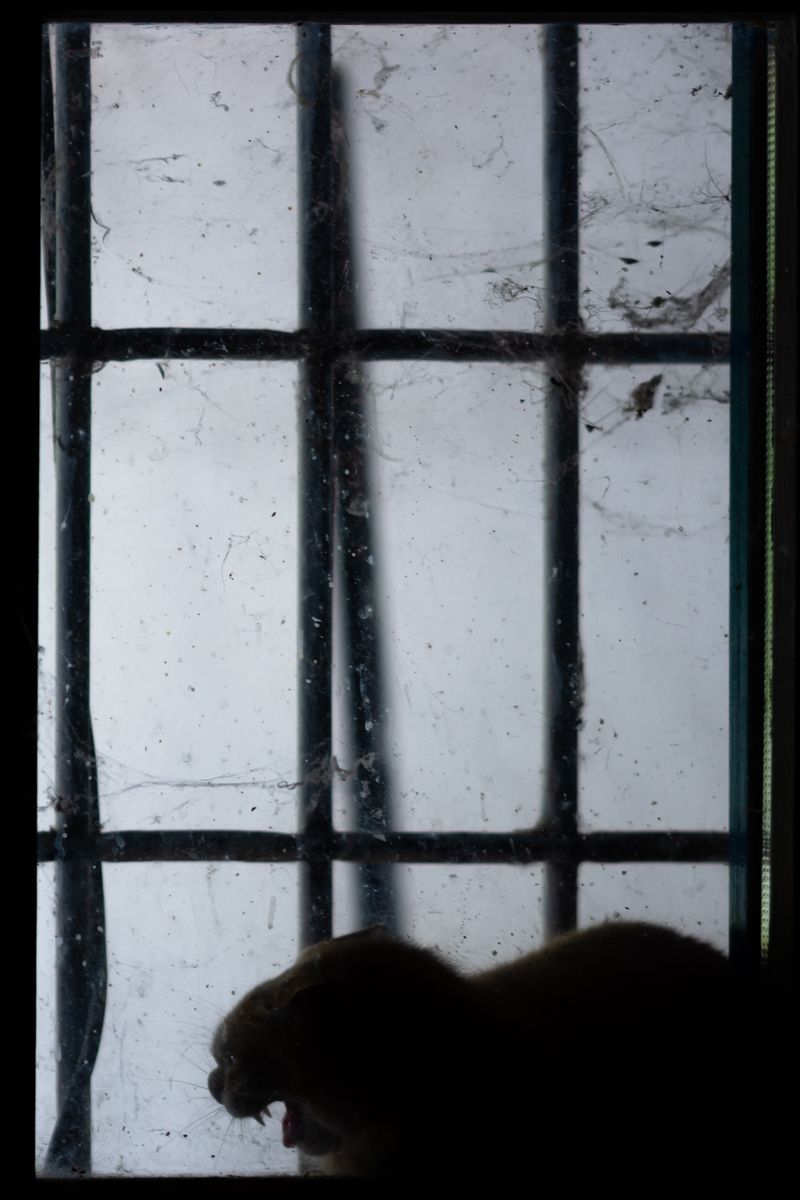 © William Joe Josephs Radford - Image from the Character Building (Part 1) photography project