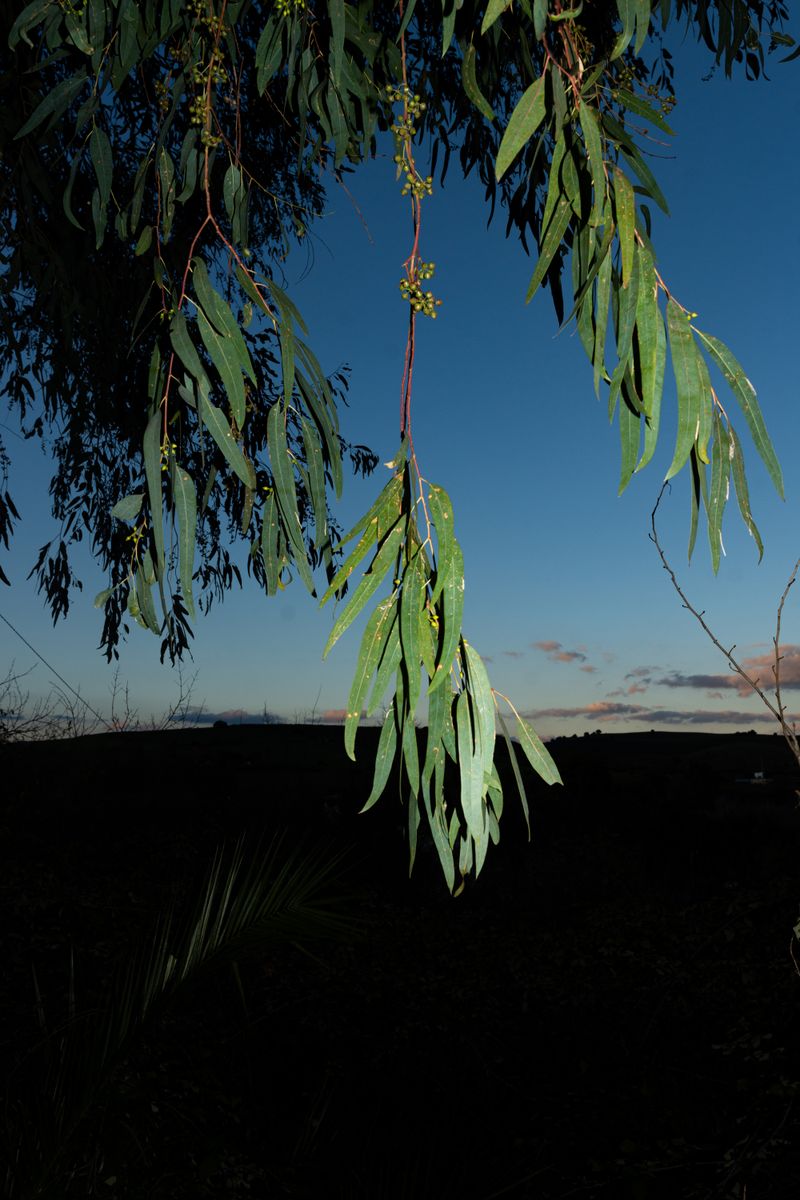 © William Joe Josephs Radford - Image from the Character Building (Part 1) photography project
