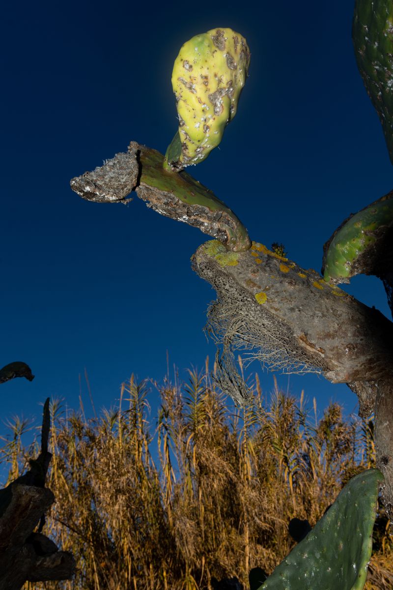 © William Joe Josephs Radford - Image from the Character Building (Part 1) photography project