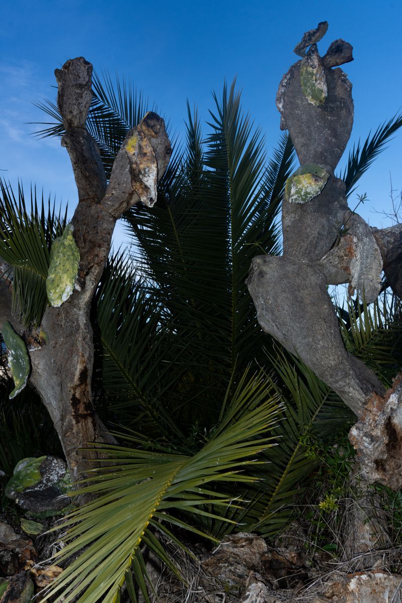 © William Joe Josephs Radford - Image from the Character Building (Part 1) photography project