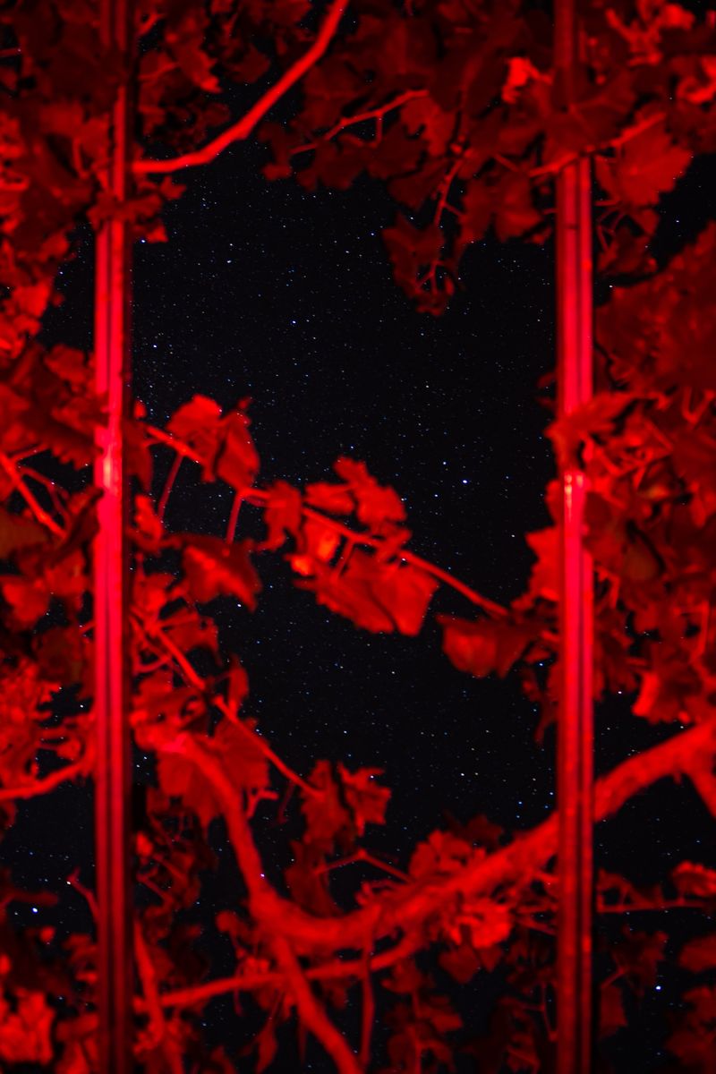 © William Joe Josephs Radford - Image from the Character Building (Part 4) photography project