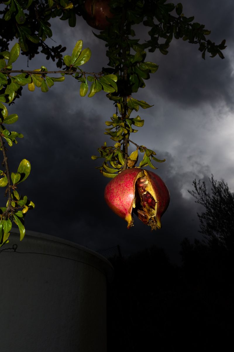 © William Joe Josephs Radford - Image from the Character Building (Part 4) photography project