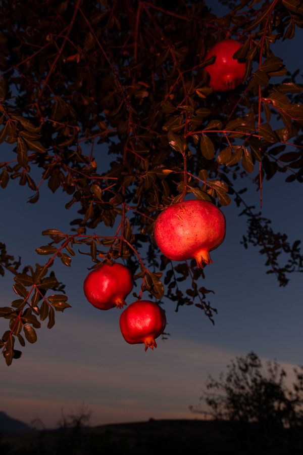 © William Joe Josephs Radford - Image from the Character Building (Part 4) photography project