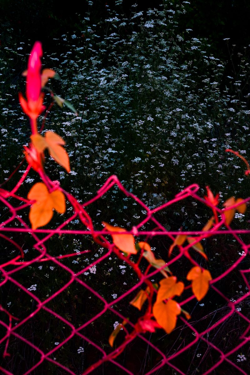 © William Joe Josephs Radford - Image from the Character Building (Part 4) photography project