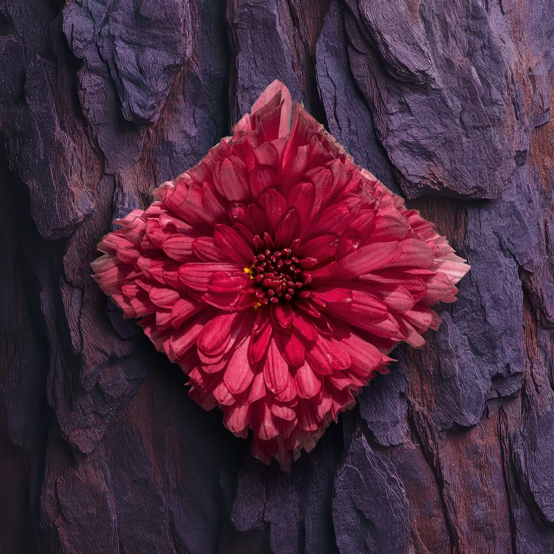 © Alena Ivochkina - Image from the Striving for perfection photography project