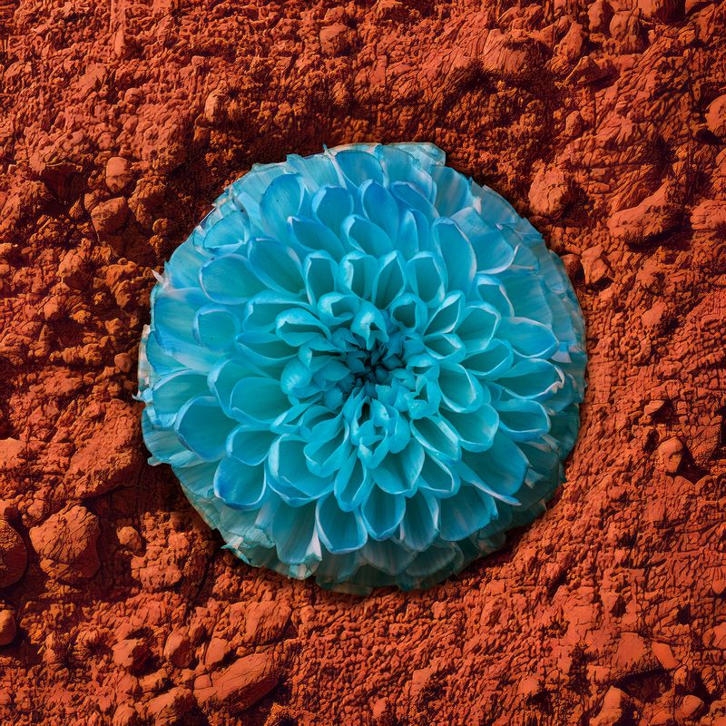 © Alena Ivochkina - Image from the Striving for perfection photography project