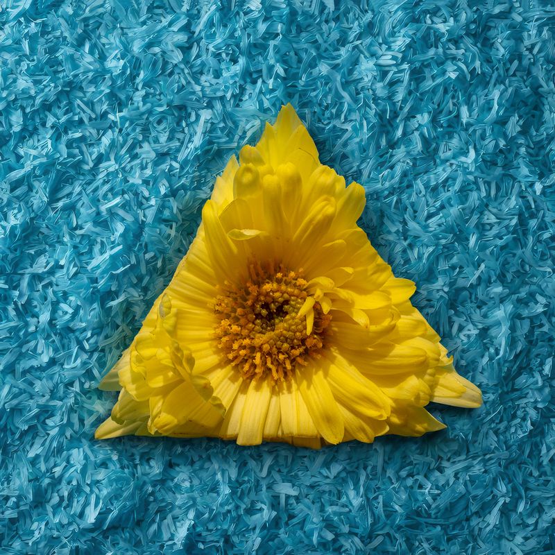 © Alena Ivochkina - Image from the Striving for perfection photography project