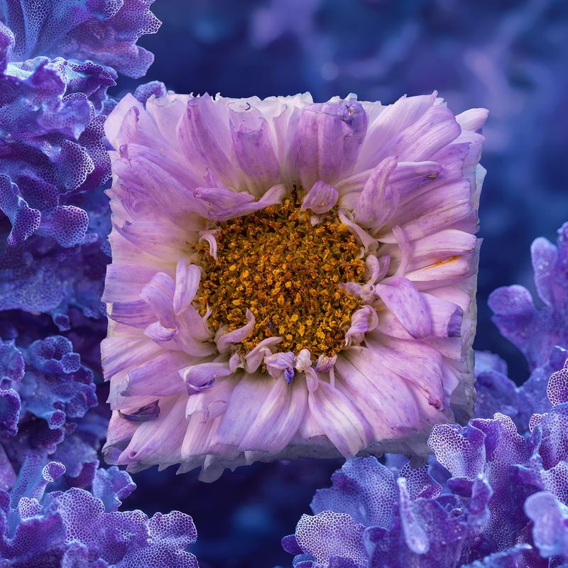 © Alena Ivochkina - Image from the Striving for perfection photography project