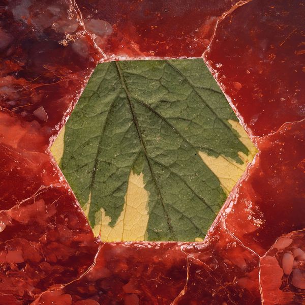 © Alena Ivochkina - Image from the Striving for perfection photography project