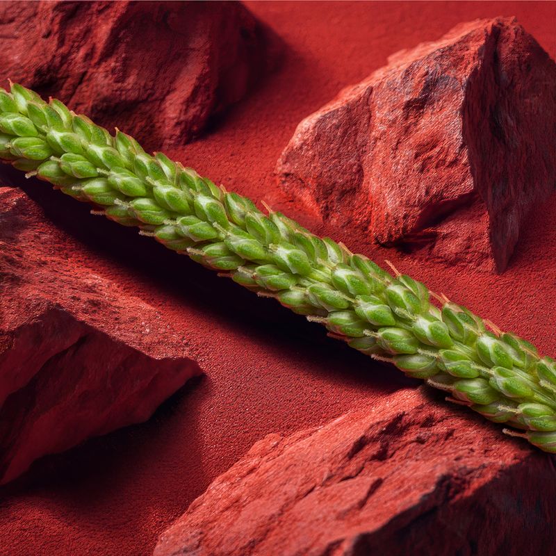 © Alena Ivochkina - Image from the Striving for perfection photography project