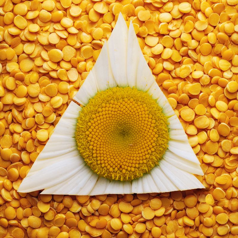 © Alena Ivochkina - Image from the Striving for perfection photography project