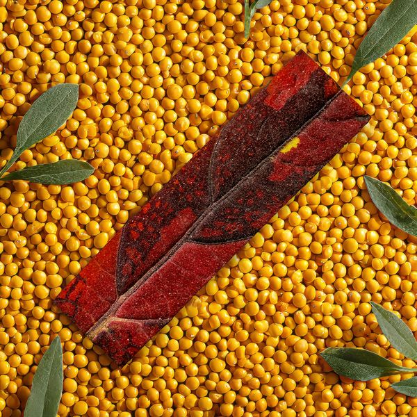 © Alena Ivochkina - Image from the Striving for perfection photography project