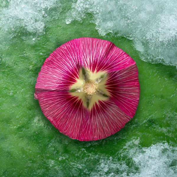 © Alena Ivochkina - Image from the Striving for perfection photography project