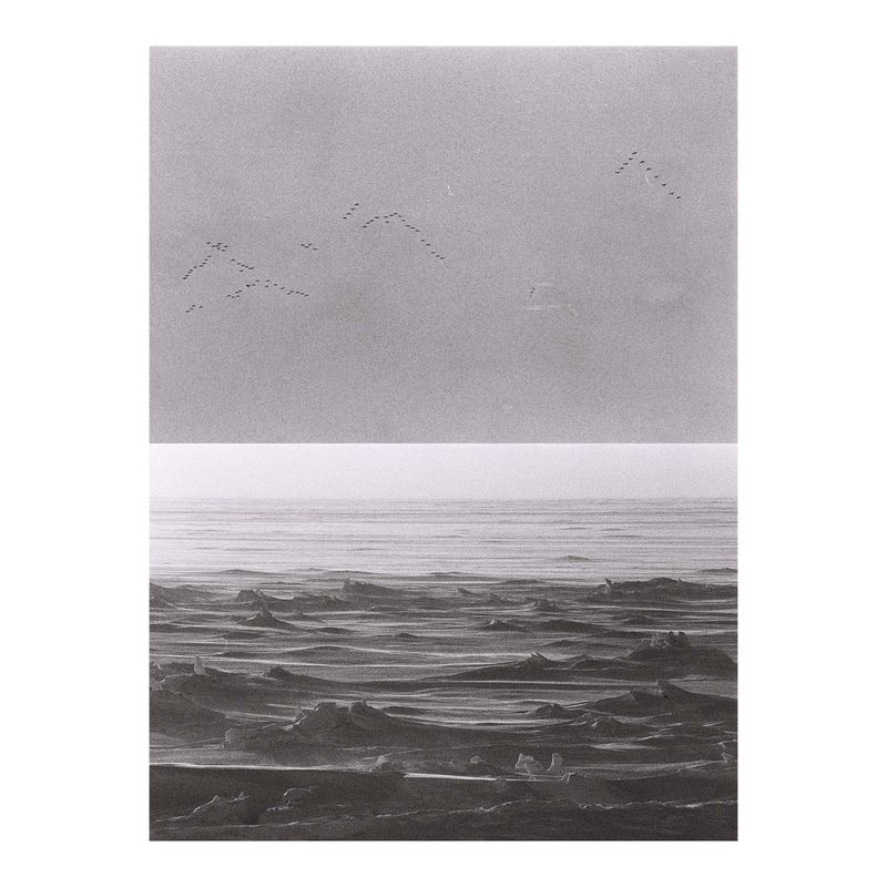 © Jaka Mojskerc - Image from the Heavens are made of ice photography project