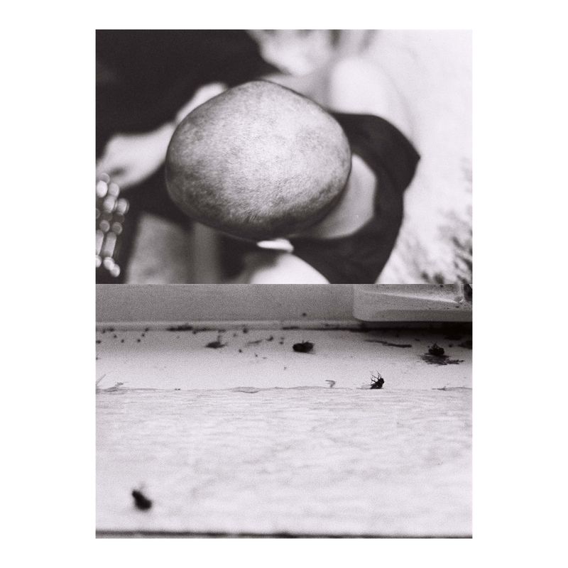 © Jaka Mojskerc - Image from the Heavens are made of ice photography project