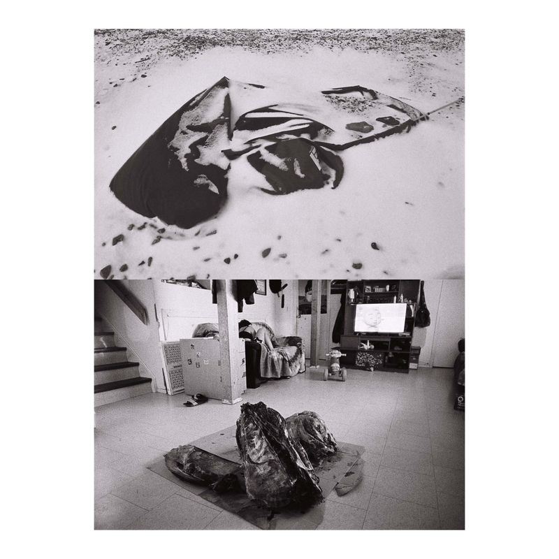 © Jaka Mojskerc - Image from the Heavens are made of ice photography project