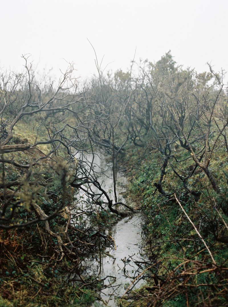 © Rosie Dale - Image from the Ad Astra photography project